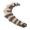 LynelHorn